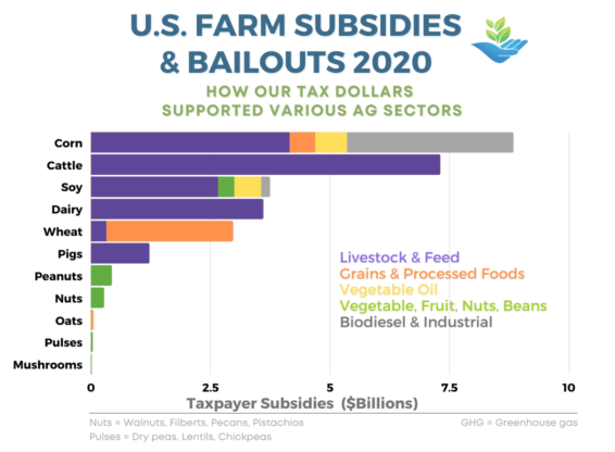 us dairy subsidies