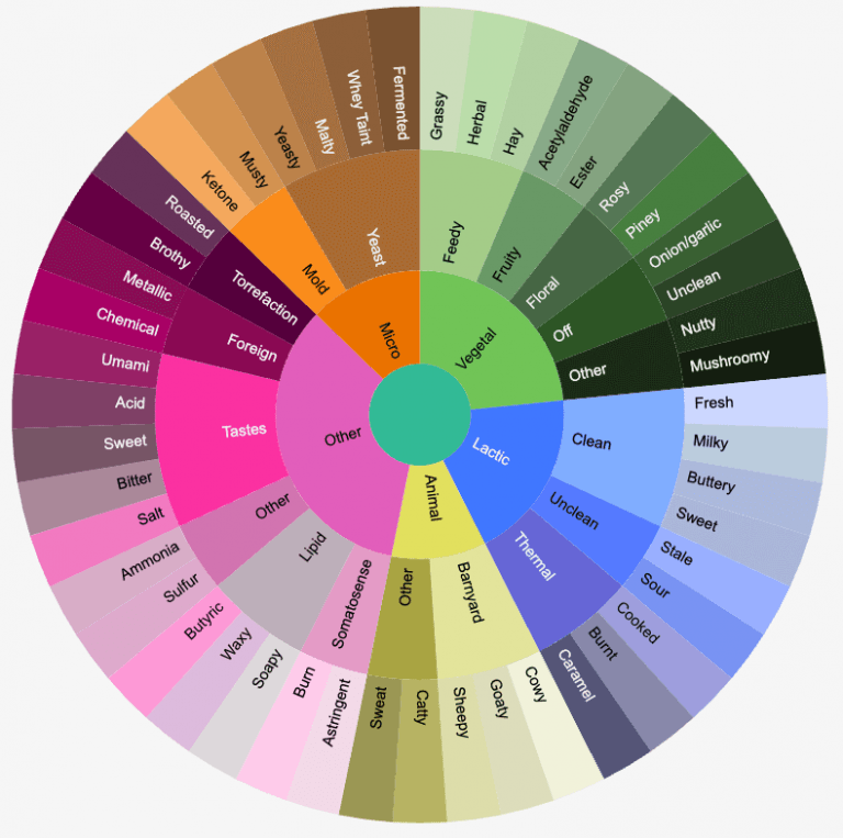 What Does Almond Milk Taste Like? Milk Pick