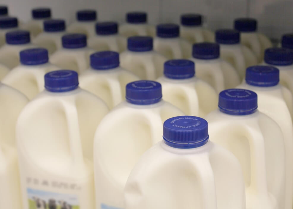 jugs of milk in grocery store