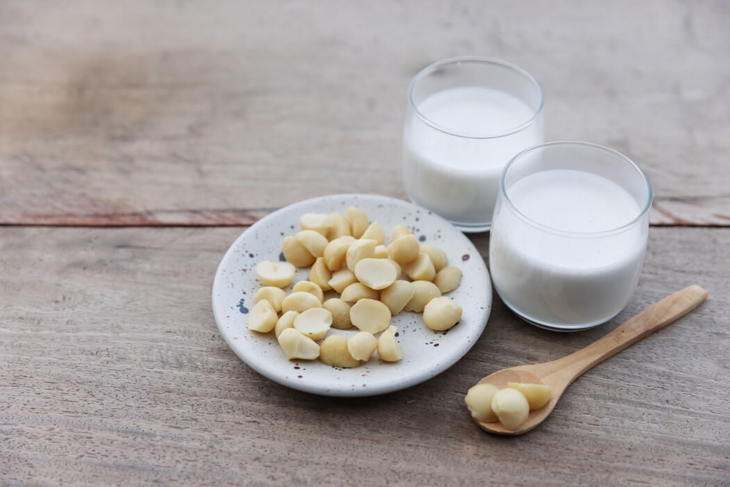 two glasses of macadamia milk and plate of macadamia nuts