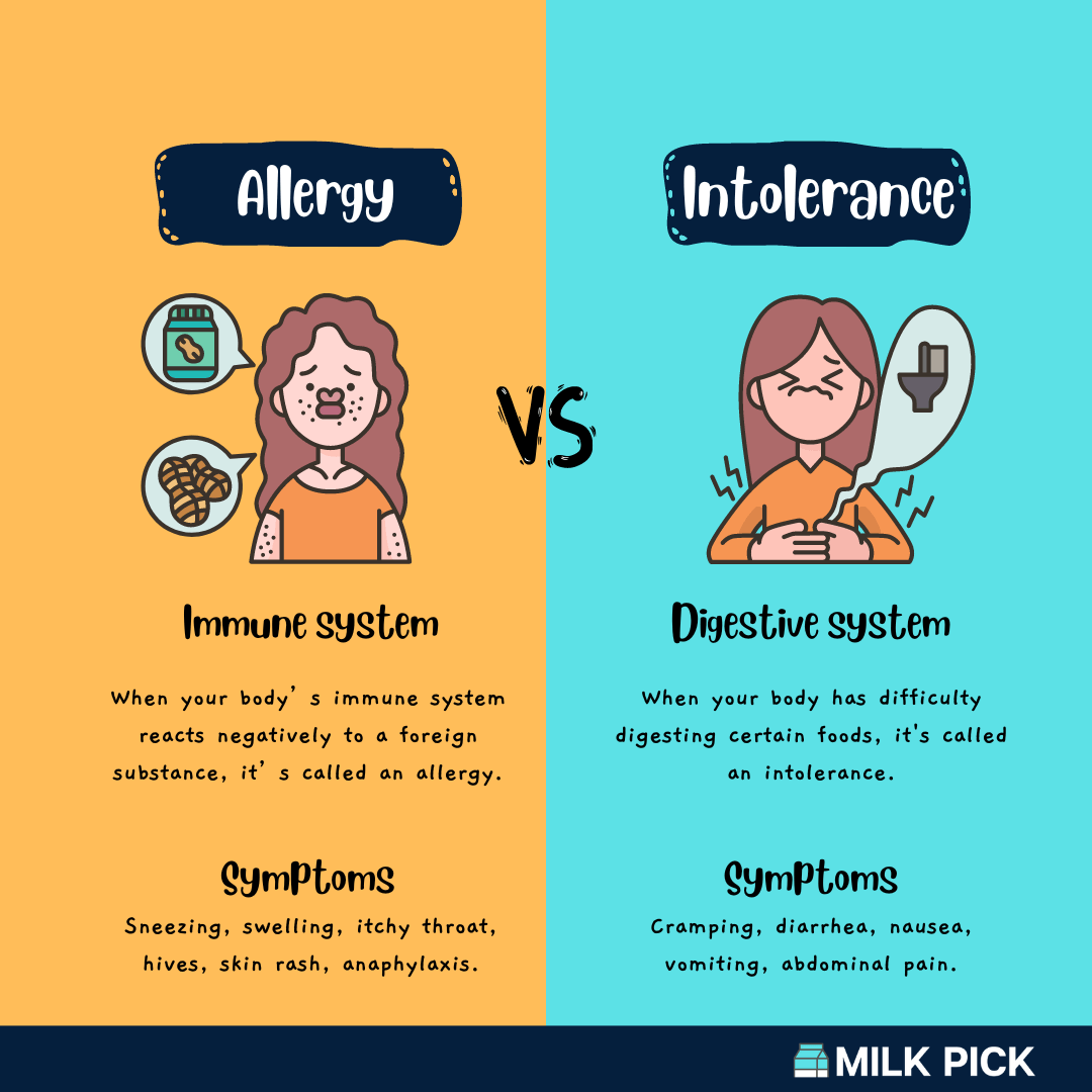 visual explaining the difference between food allergy and food intolerance