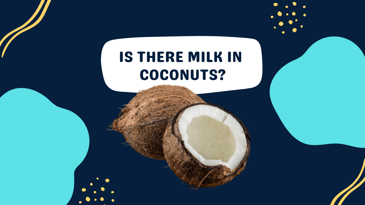 Is There Milk in Coconuts? (NO) Milk Pick