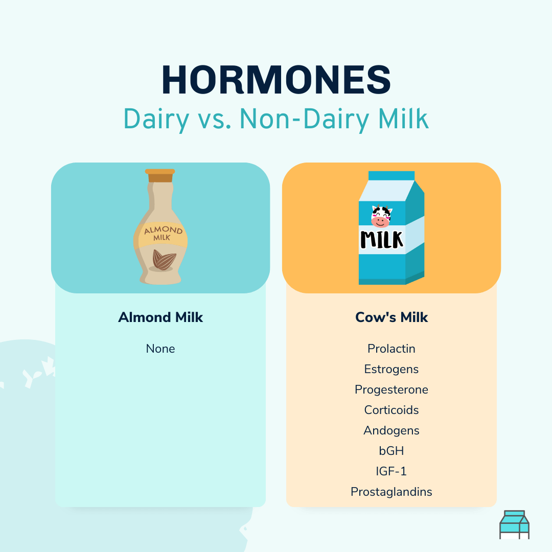 hormones in almond milk vs dairy milk