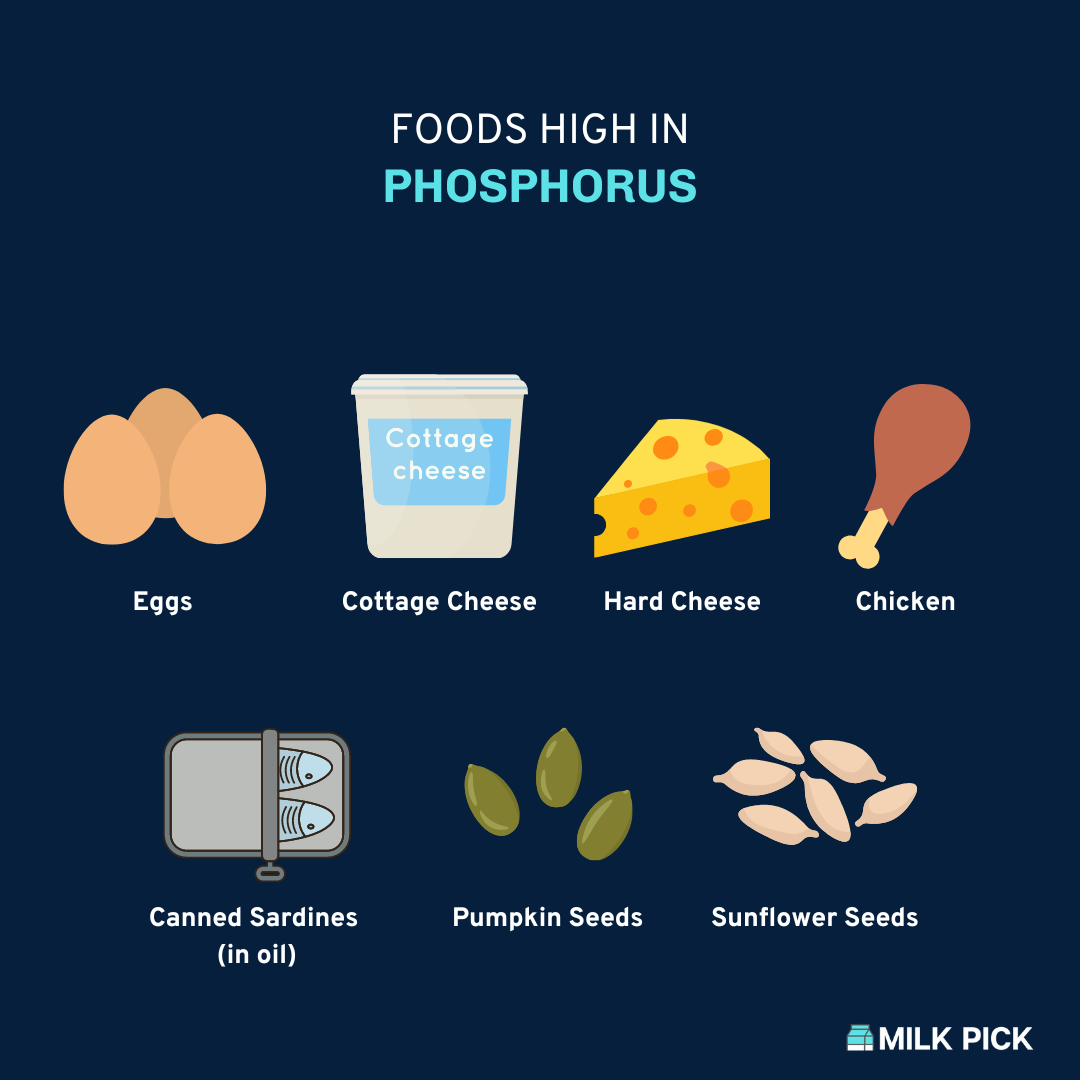 foods high in phosphorus