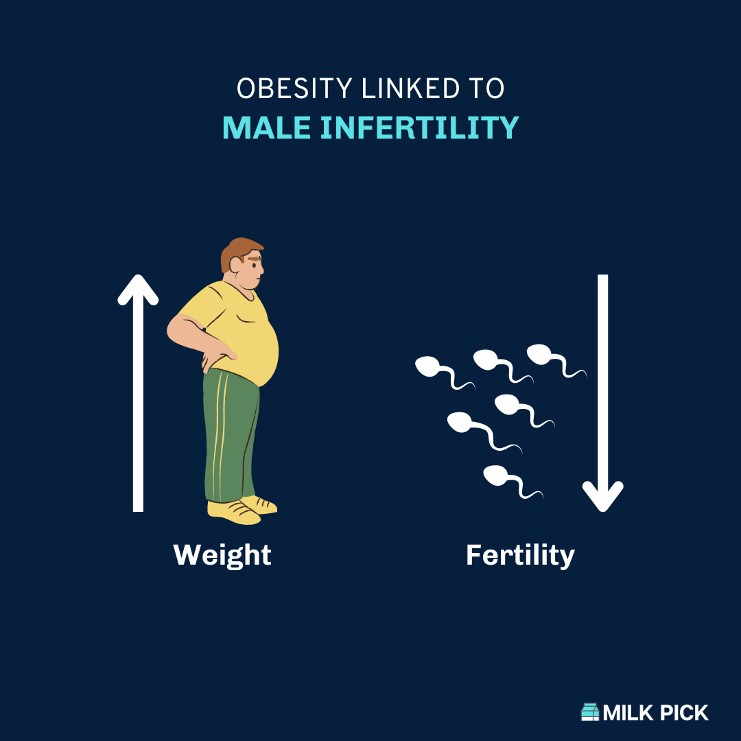 obesity linked to male infertility