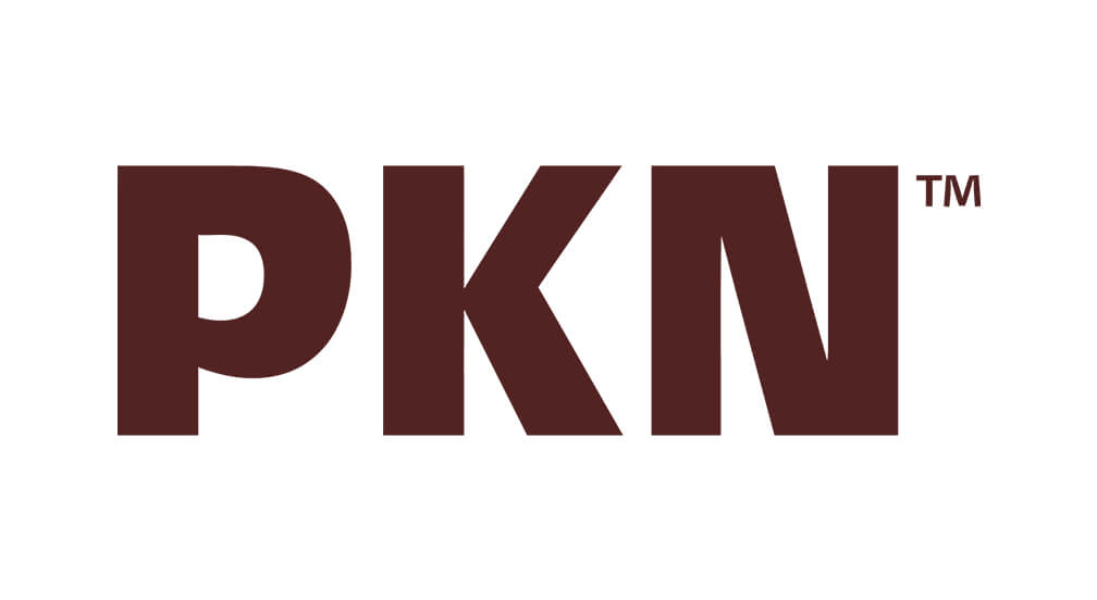 THIS PKN Logo