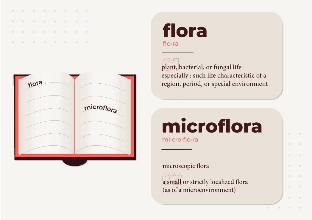 microflora definition